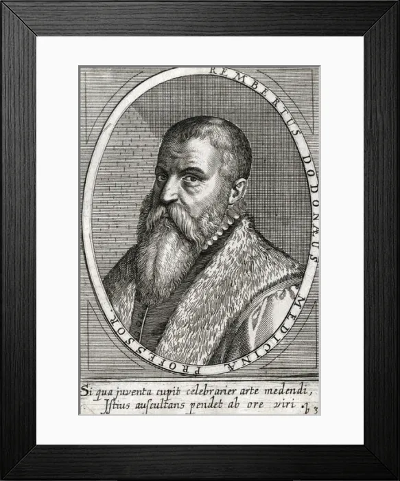 Framed Print : Rembert Dodoens / Ammon Framed Print : Rembert Dodoens / Ammon