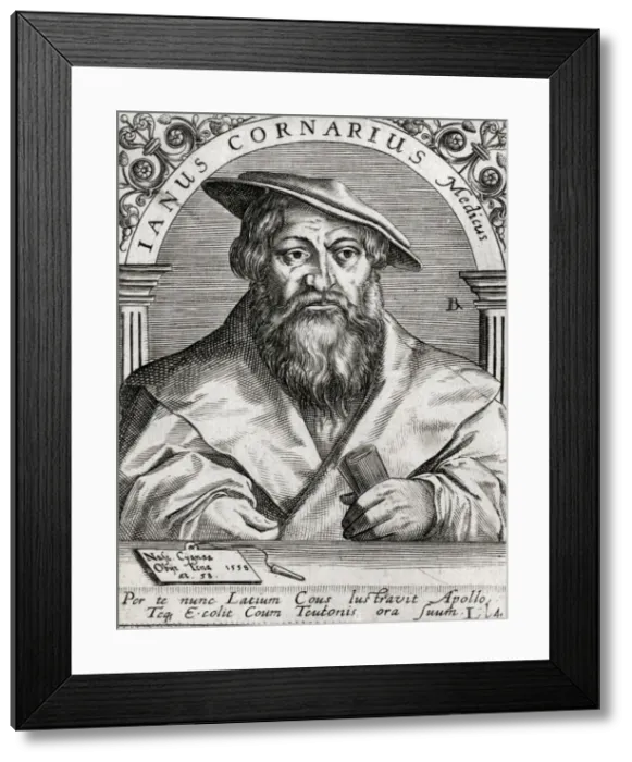 Framed Print : Janus Cornarus Framed Print : Janus Cornarus