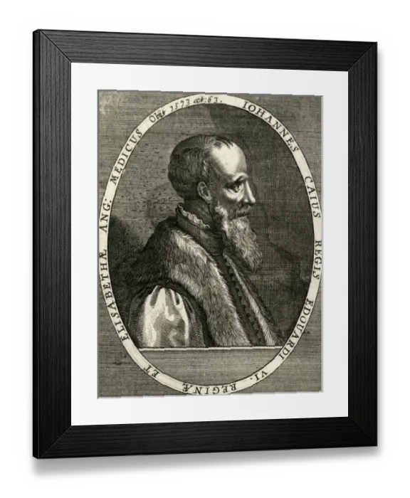 Framed Print : JOHN CAIUS Framed Print : JOHN CAIUS