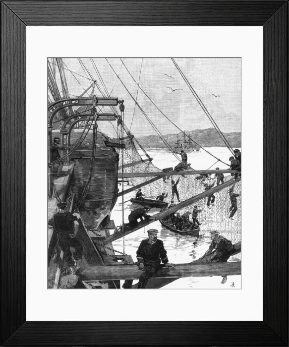 Framed Print : Torpedo Nets Framed Print : Torpedo Nets