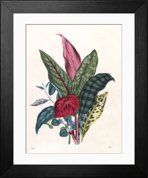 Framed Print : Patterned Foliage, 1860 Framed Print : Patterned Foliage, 1860