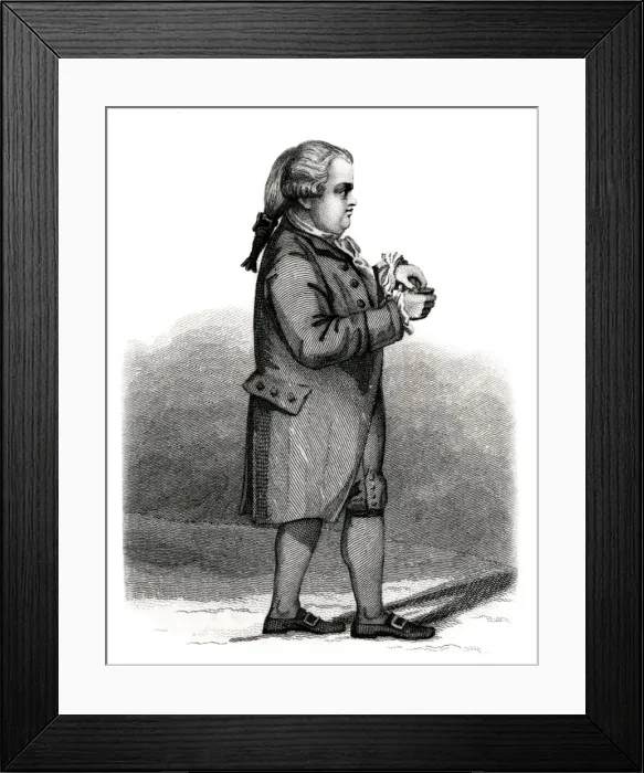 Framed Print : Edward Gibbon / Brighty Framed Print : Edward Gibbon / Brighty
