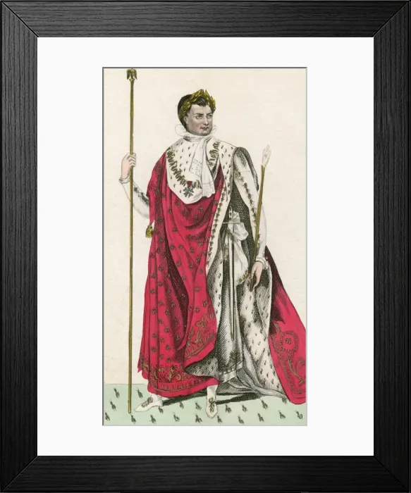 Framed Print : Napoleon (Imperial Look) Framed Print : Napoleon (Imperial Look)