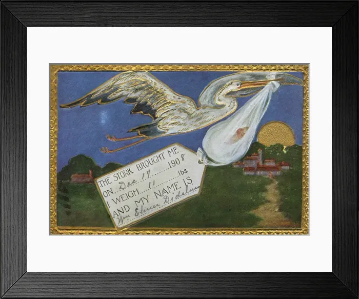 Framed Print : Stork Brings Baby Framed Print : Stork Brings Baby