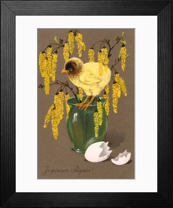 Framed Print : Chick and Blossom Framed Print : Chick and Blossom