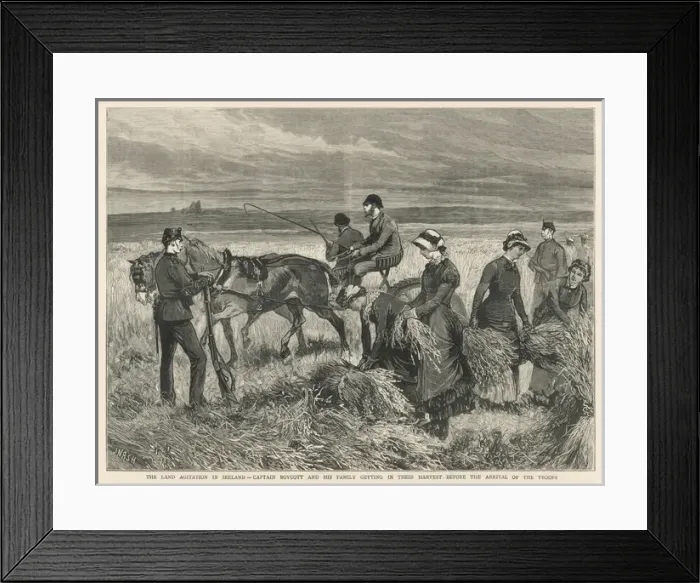 Framed Print : Cc Boycott / Graphic 1880 Framed Print : Cc Boycott / Graphic 1880