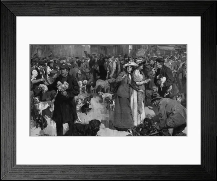 Framed Print : Dog Market, London Framed Print : Dog Market, London