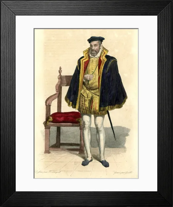 Framed Print : Gaspard II De Coligny Framed Print : Gaspard II De Coligny