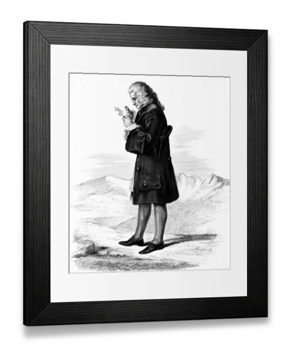 Framed Print : B De Jussieu / Guilleminot Framed Print : B De Jussieu / Guilleminot