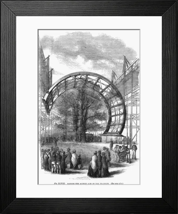 Framed Print : Raising a Rib Framed Print : Raising a Rib