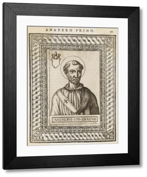 Framed Print : Pope Anterus Framed Print : Pope Anterus