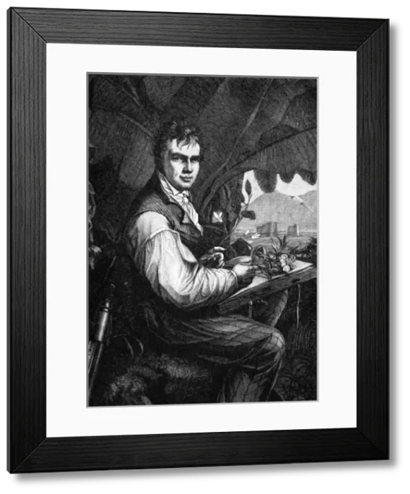 Framed Print : Humboldt / Weitsch / Freidho Framed Print : Humboldt / Weitsch / Freidho