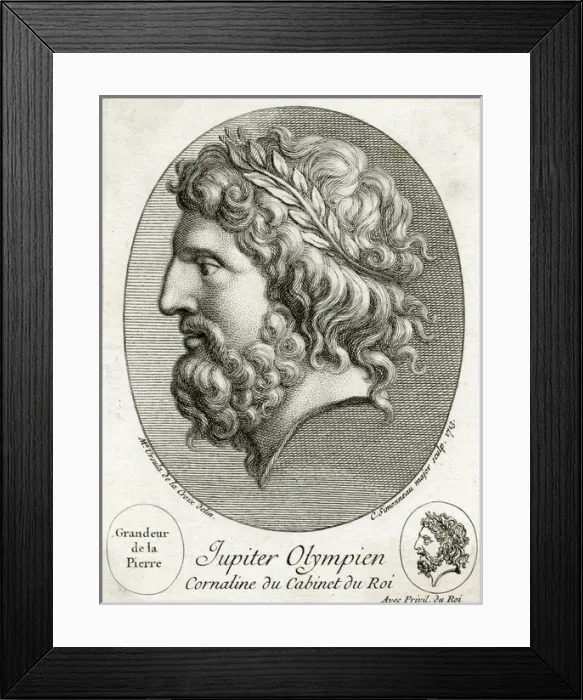 Framed Print : Zeus Framed Print : Zeus