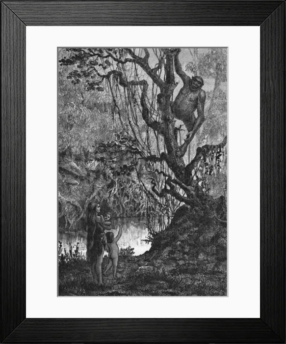 Framed Print : Earliest Man Framed Print : Earliest Man