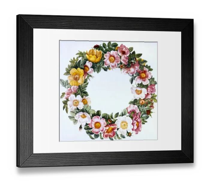 Framed Print : Ring of Roses Framed Print : Ring of Roses