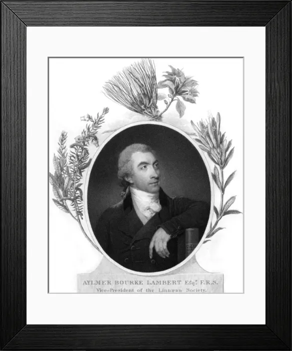 Framed Print : Aylmer Bourke Lambert Framed Print : Aylmer Bourke Lambert