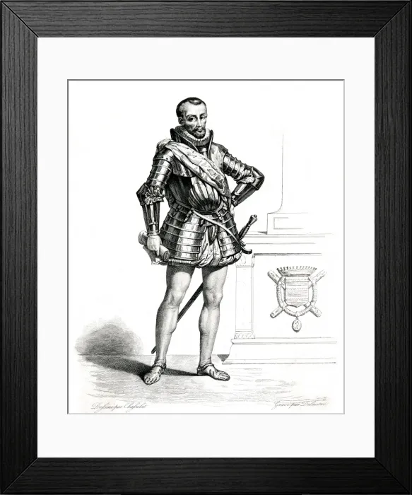 Framed Print : Cosse De Brissac (Mono) Framed Print : Cosse De Brissac (Mono)
