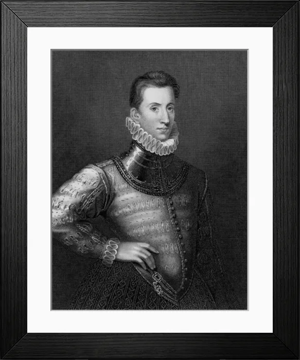 Framed Print : Sidney (More) Framed Print : Sidney (More)