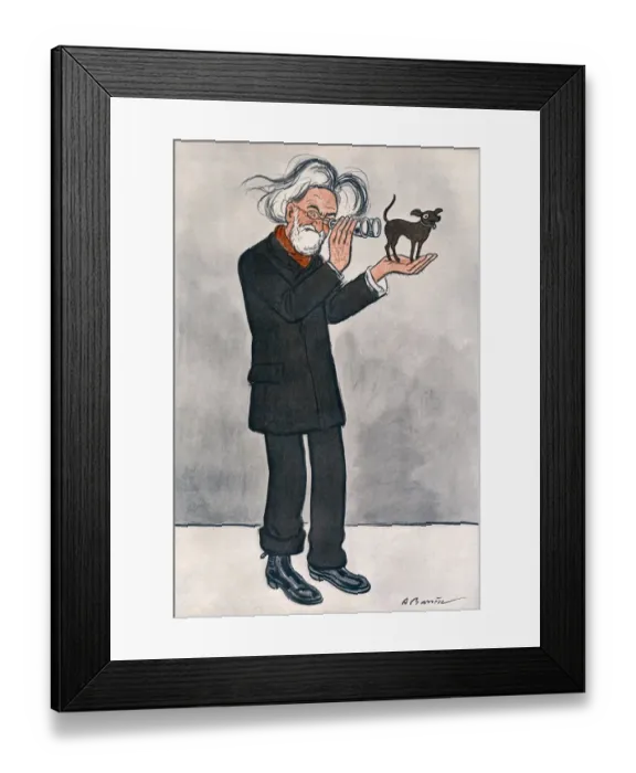 Framed Print : Metchnikoff / Fantasio 12 Framed Print : Metchnikoff / Fantasio 12