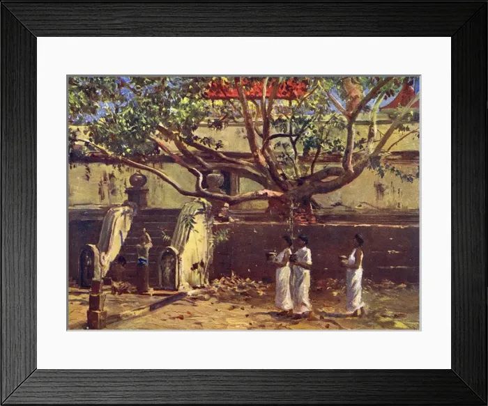 Framed Print : Buddhas Bo-Tree Framed Print : Buddhas Bo-Tree