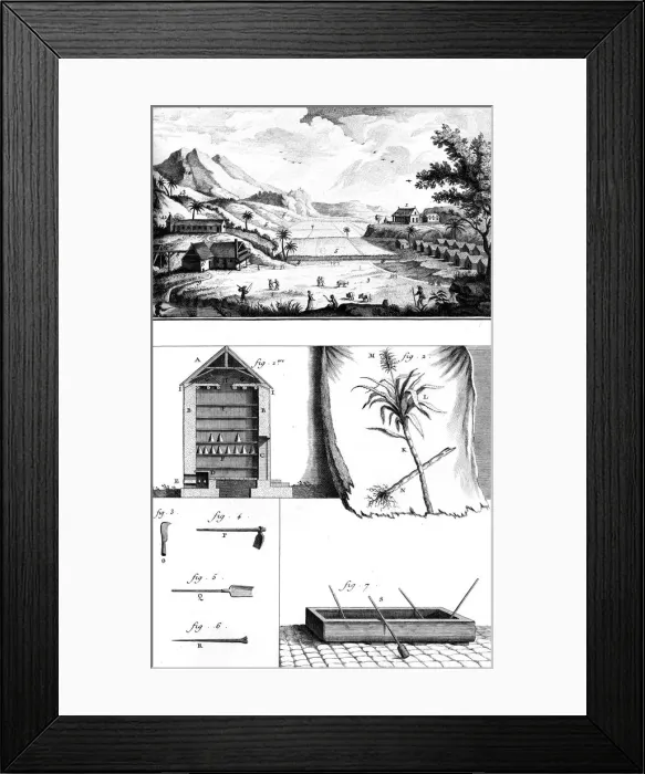 Framed Print : Sugar Plantation / Diderot Framed Print : Sugar Plantation / Diderot