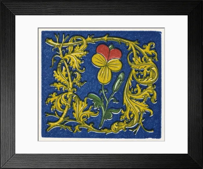 Framed Print : Illuminated letter D Framed Print : Illuminated letter D