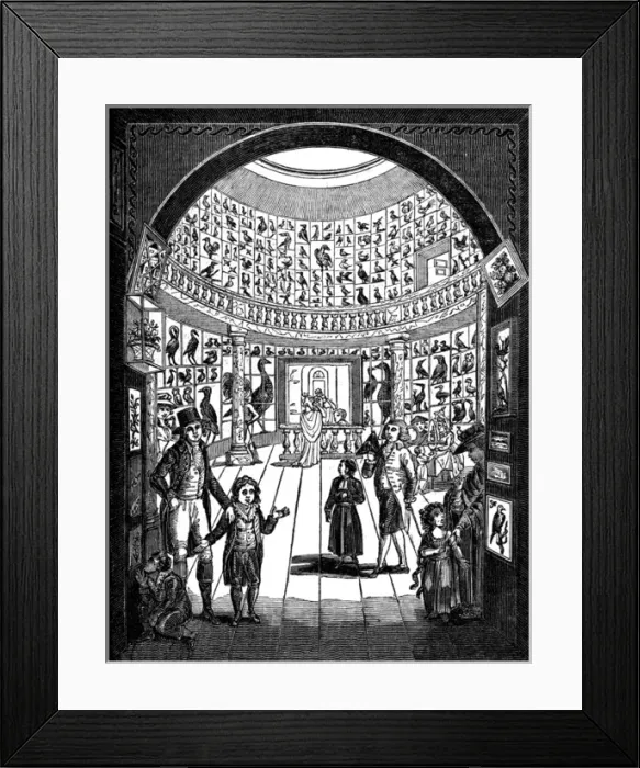 Framed Print : Ashton Lever Museum Framed Print : Ashton Lever Museum