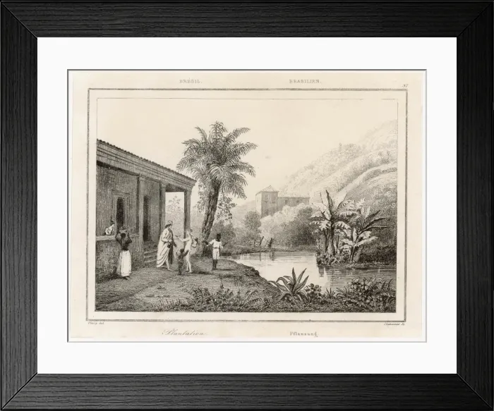 Framed Print : Brazil / Plantation Framed Print : Brazil / Plantation