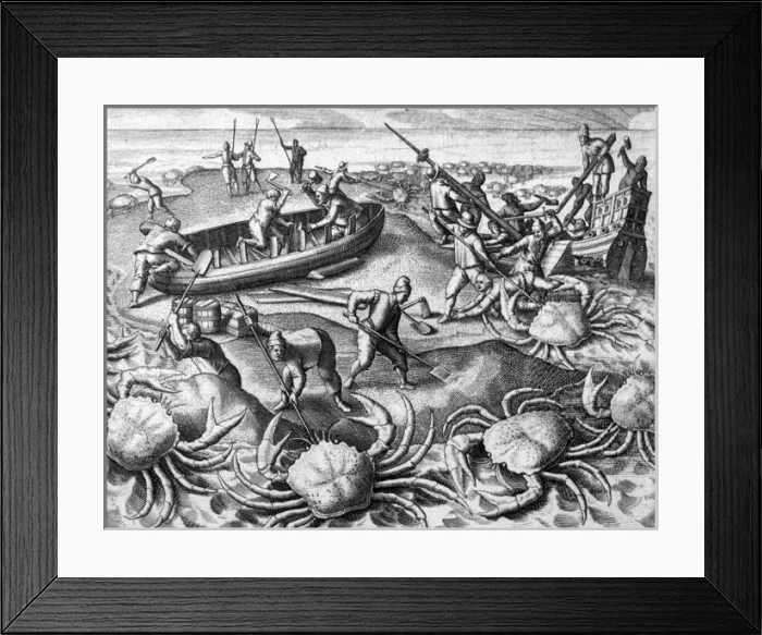 Framed Print : HUGE CRABS Framed Print : HUGE CRABS