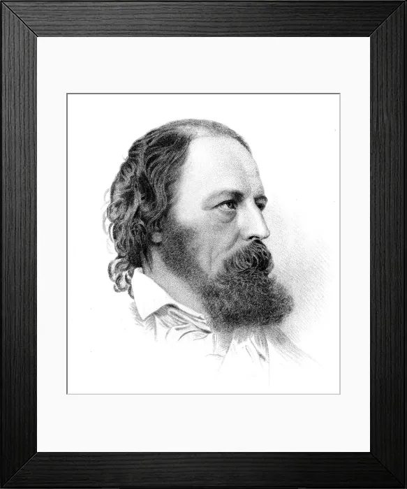 Framed Print : Tennyson Mote Framed Print : Tennyson Mote