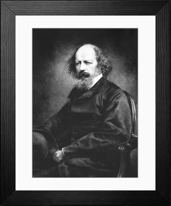 Framed Print : Tennyson Maclure Framed Print : Tennyson Maclure