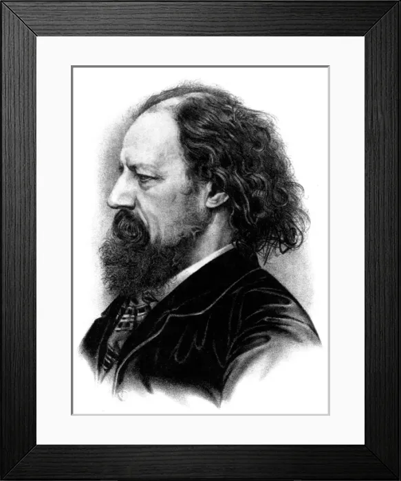 Framed Print : Tennyson profile Framed Print : Tennyson profile