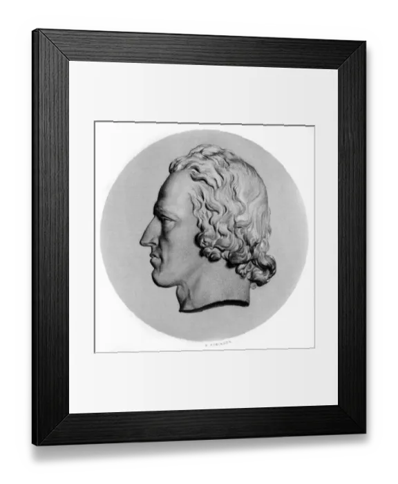 Framed Print : Tennyson Medallion Framed Print : Tennyson Medallion