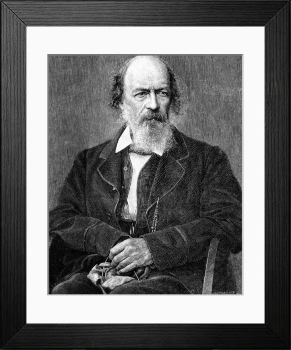 Framed Print : Tennyson Werdmuller Framed Print : Tennyson Werdmuller
