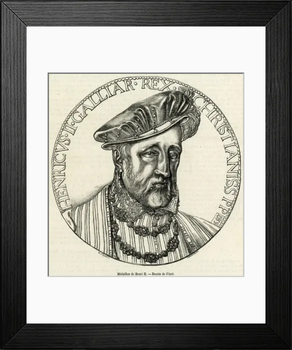 Framed Print : Henri II (Feart) Framed Print : Henri II (Feart)