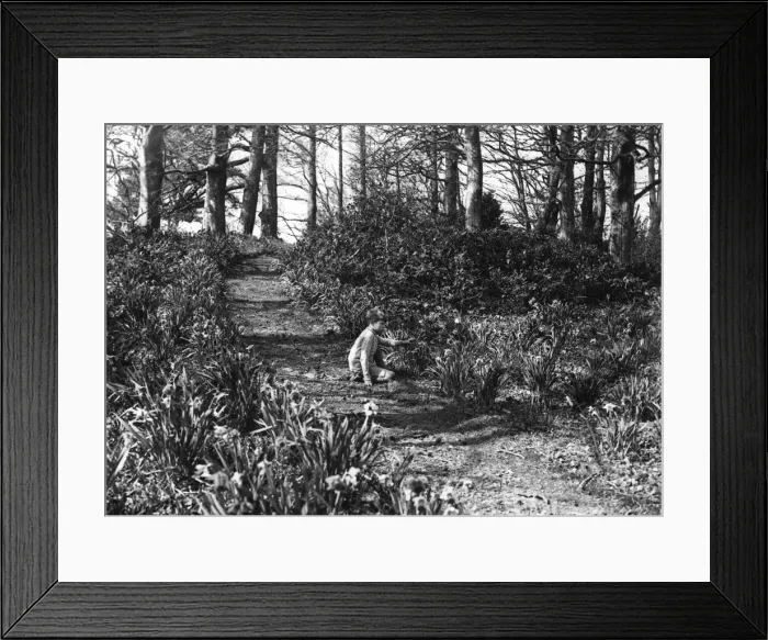 Framed Print : Boy / Woodland Flowers Framed Print : Boy / Woodland Flowers