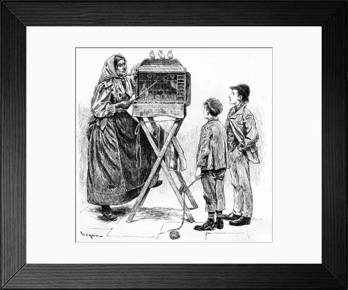 Framed Print : Fortune Telling Birds Framed Print : Fortune Telling Birds