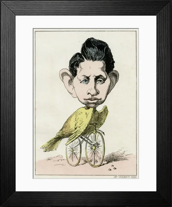 Framed Print : Louis Napoleon / Bird Bike Framed Print : Louis Napoleon / Bird Bike