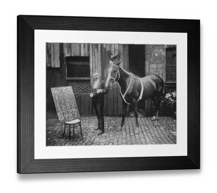 Framed Print : Thought-Reading Horse Framed Print : Thought-Reading Horse