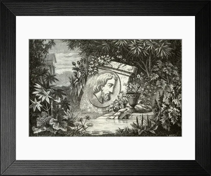 Framed Print : Dioscorides in Setting Framed Print : Dioscorides in Setting