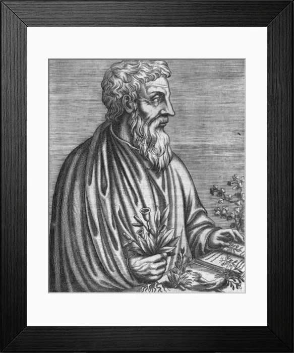 Framed Print : Dioscorides (Thevet) Framed Print : Dioscorides (Thevet)