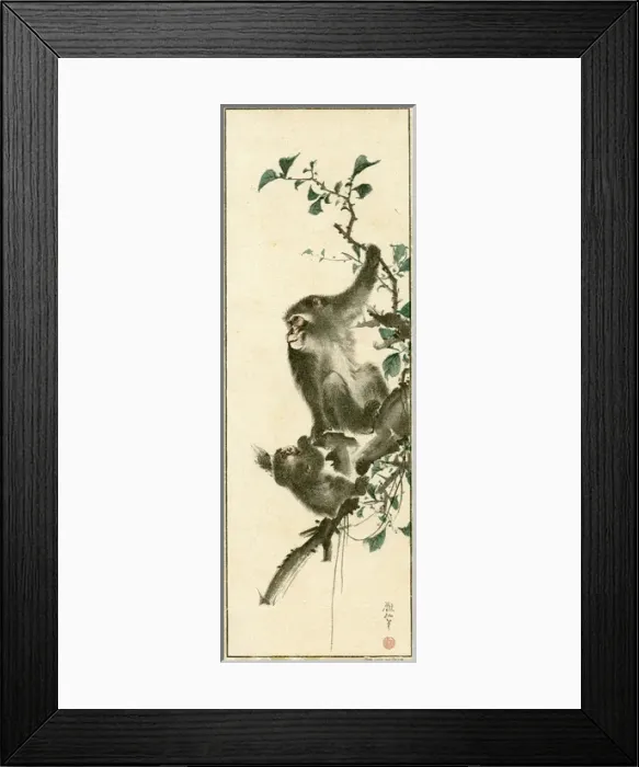 Framed Print : Japanese Monkeys Framed Print : Japanese Monkeys