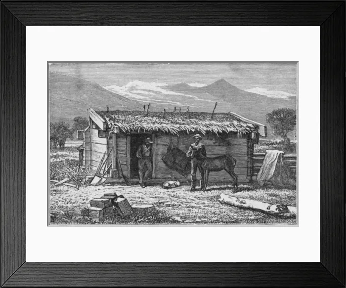 Framed Print : Settlers hut, California Framed Print : Settlers hut, California