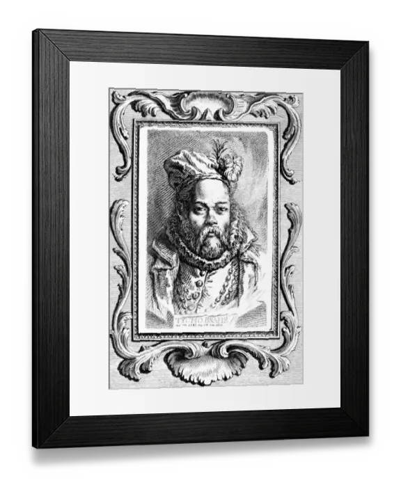 Framed Print : Tycho Brahe / Blanchon Framed Print : Tycho Brahe / Blanchon