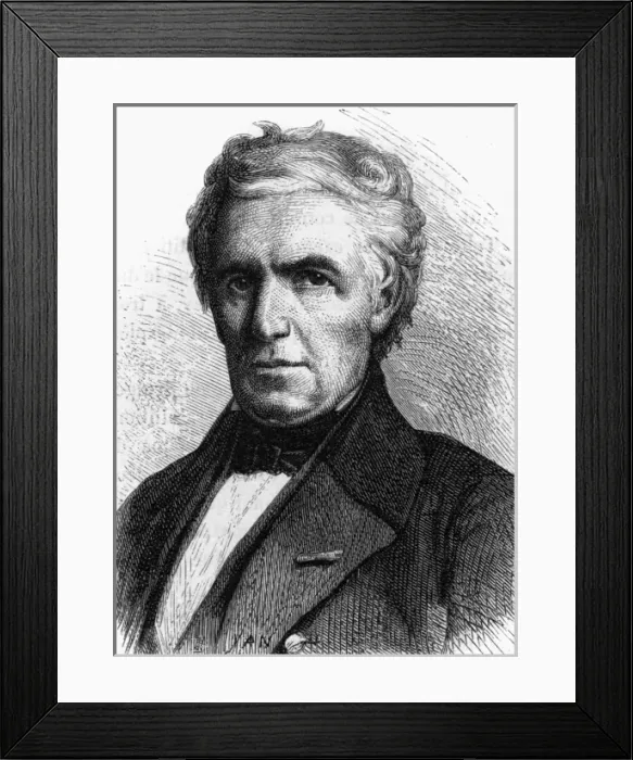 Framed Print : Marc Seguin - Figuier Framed Print : Marc Seguin - Figuier