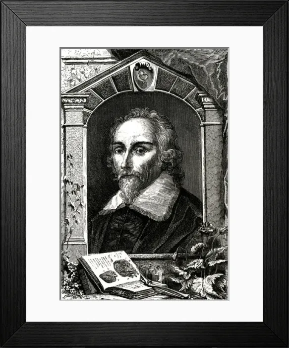 Framed Print : William Harvey / Figuier Framed Print : William Harvey / Figuier