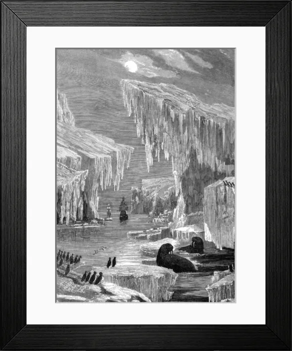 Framed Print : Ross and Icebergs Framed Print : Ross and Icebergs