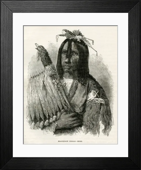 Framed Print : Racial  /  Blackfoot Chief