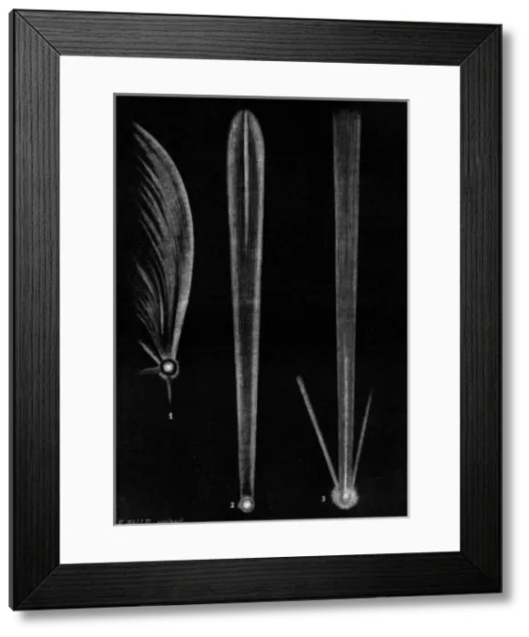 Framed Print : COMETS OF 1577 1680 1769 Framed Print : COMETS OF 1577 1680 1769