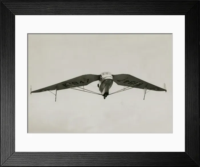 Framed Print : Westland Pterodactyl 1 Framed Print : Westland Pterodactyl 1